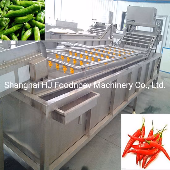 Stainless Steel Conveyor System for Fruit Washing and Drying Machine