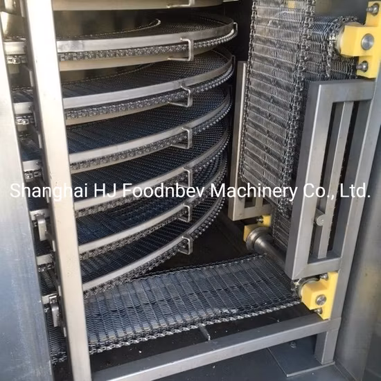 Stainless Steel Conveyor System for Fruit Washing and Drying Machine